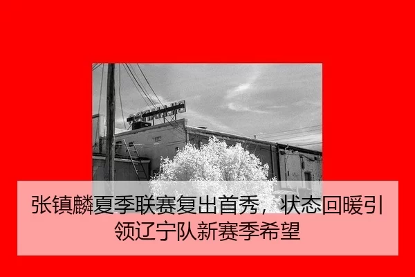 zhang-zhen-lin-xia-ji-lian-sai-fu-chu-shou-xiu-zhuang-tai-hui-nuan-yin-ling-liao-ning-dui-xin-sai-ji-xi-wang-3-395.jpg