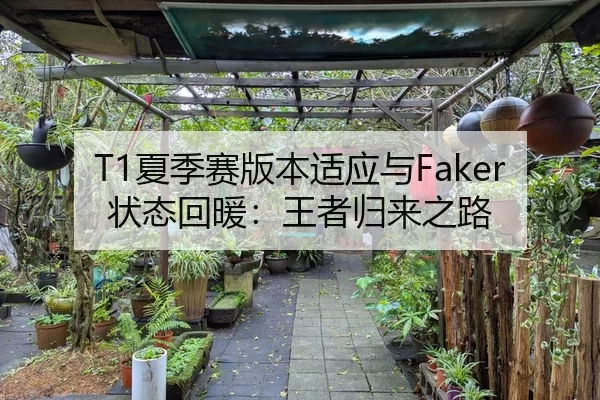 T1夏季赛版本适应与Faker状态回暖：王者归来之路